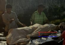 Muere anciano de León al ser arrollado por un bus universitario, el infortunado venía de comprar su cena