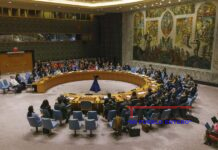 Consejo de Seguridad aprueba pausas humanitarias en Gaza