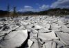 Retrato global de la sequía aporta una emergencia planetaria “sin precedentes”