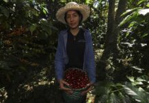 Linda Pérez sueña con un mercado internacional