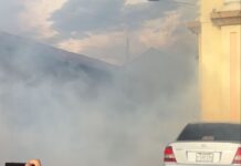 Ante aumento de casos de dengue, MINSA fumiga varios barrios de la ciudad de León