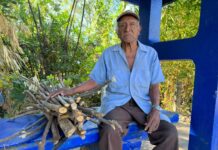 Sube el precio de la leña en León