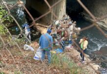 Limpian Río Chiquito, el criadero de zancudo más grande en León