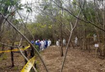 Descubren fosas con 11 cadáveres en estado mexicano de Michoacán