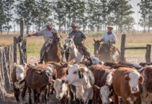 La seguridad alimentaria