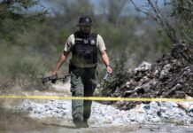 Hallan al menos cinco cuerpos calcinados en cementerio.