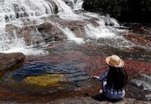 Emblema del Mundial FIFA Femenino de Colombia fue inspirado por el río de los cinco colores