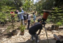 Nicaragüenses disfrutan del eclipse solar parcial.