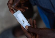 El ‘kush’, nueva droga que devasta a jóvenes de Sierra Leona