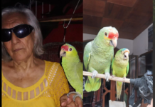 ABUELITA DE 85 AÑOS POR FIN ENCUENTRA A SU CHOCOYITO “CAÑITA”