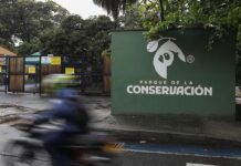 El Parque de la Conservación, el pulmón verde de Medellín.