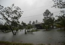 Cambio climático, hambre y emigración.