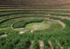 Perú impulsa un plan para recuperar 120.000 hectáreas de andenes incas y pre-incas.