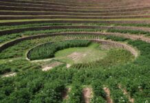 Perú impulsa un plan para recuperar 120.000 hectáreas de andenes incas y pre-incas.