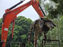 Sacrifican a 125 cocodrilos debido a las inundaciones en Tailandia