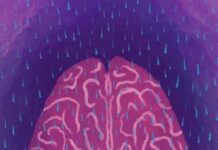 El sueño profundo no solo descansa, también despeja la mente.