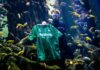 El Betis convierte algas invasoras en camiseta para alertar de la degradación del mar.