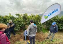 Campaña social une esfuerzos para el avance sostenible en Latinoamérica antes de 2030.