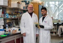 Nuevo antibiótico lariocidina Los investigadores Gerry Wright y Manoj Jangra, de la Universidad McMaster, Canadá. EFE/Crédito: Universidad McMaster.