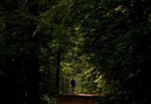 Estar 20 minutos en el bosque reduce el estrés, según un estudio de científicos austriacos.