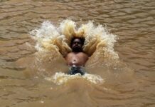 Ante la llegada del verano, lanzan campaña internacional para afrontar las olas de calor