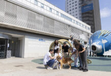 Terapeutas de cuatro patas en España para menores con conductas autolesivas y suicidas.