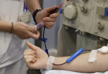 Identifican proteínas revelan gravedad de la malaria