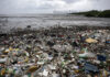 WWF pide un acuerdo fuerte contra los plásticos