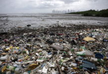 WWF pide un acuerdo fuerte contra los plásticos