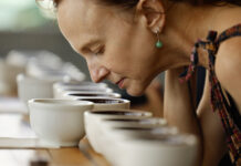 Una ventana al complejo mundo del café de lujo en Panamá