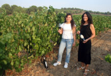 Como vino para chocolate, en Rueda (Valladolid)