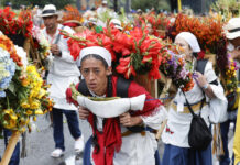 Medellín se inundan con la belleza de sus flores