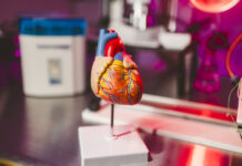 Científicos de EE.UU. crean una IA que busca prevenir infartos oyendo los latidos