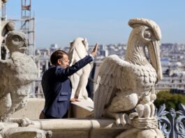 Los turistas volverán a coronar la catedral de Notre Dame seis años después del incendio