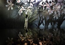 El colectivo de arte digital teamLab presenta su nuevo y mayor museo en Japón, Biovortex