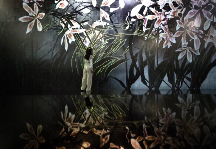 El colectivo de arte digital teamLab presenta su nuevo y mayor museo en Japón, Biovortex