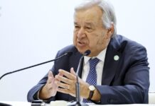 OMM: la capa de ozono siguió en 2024 su recuperación, que se espera sea total hacia 2066