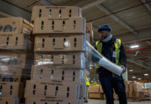 La crisis de hambre en NJ se agrava en medio de los recortes del ‘Big Beautiful Bill’. Cómo están sobreviviendo las despensas y los agricultores Troy Turner, un empleado de CFBNJ, envuelve una paleta suelta de pavos antes de que sean distribuidos a una organización benéfica dentro del Banco de Alimentos Comunitarios de NJ de Hillside el viernes, noviembre 19, 2021. Julian Leshay, Para NJ Advance Media