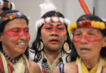 Pueblos indígenas aislados en riesgo de desaparecer