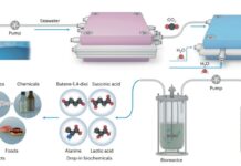 Un sistema captura CO2 y lo convierte en material para hacer plástico biodegradable