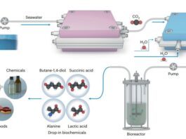 Un sistema captura CO2 y lo convierte en material para hacer plástico biodegradable