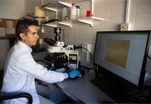 Identifican un marcador en sangre que podría ser clave en fases iniciales del alzhéimer