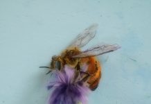 Pinta Miami pone el foco en el arte latinoamericano sostenible