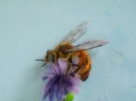 Pinta Miami pone el foco en el arte latinoamericano sostenible