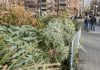 Nueva York recicla árboles de Navidad para nutrir sus parques