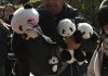 Los últimos pandas de Japón regresan a China
