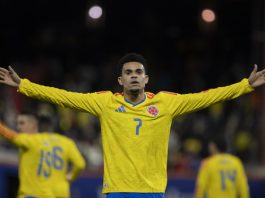 Fifa confirma selecciones para mundial 2026 Fotografía de archivo que muestra a Luis Díaz de Colombia celebrando un gol en Nueva York (Estados Unidos). EFE/ Ángel Colmenares