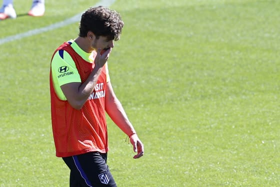 Julián Alvarez, capítulo final Julián Alvarez, delantero del Atlético de Madrid, se reincorporó este domingo a los entrenamientos con el grupo, tras la indisposición sufrida el pasado miércoles, ejercitarse el viernes en solitario y ser baja en el partido del sábado ante el Sevilla, a tres días del cierre del mercado de fichajes. EFE/ Rodrigo Jiménez
