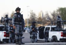 Jefe Narco apresado en México De acuerdo con el informe de las fuerzas federales, el arrestado operaba como encargado de plaza en el municipio de Rosales y coordinaba rutas de tráfico de droga y migrantes hacia territorio estadounidense, bajo las órdenes directas de su hijo, un mando regional identificado por el alias de 'Checo'. Fotografía de archivo. EFE/ Francisco Guasco