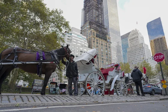 Fotografía que muestra un caballo con un carruaje este miércoles, en Central Park, Nueva York (Estados Unidos). EFE/ Angel Colmenares
